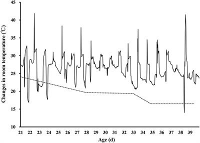 In ovo Feeding of L-Leucine Improves Antioxidative Capacity and Spleen Weight and Changes Amino Acid Concentrations in Broilers After Chronic Thermal Stress